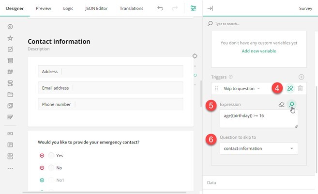 Designing Survey Flow