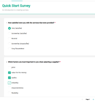 Survey preview