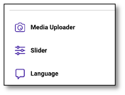 Language selection interface for survey respondents