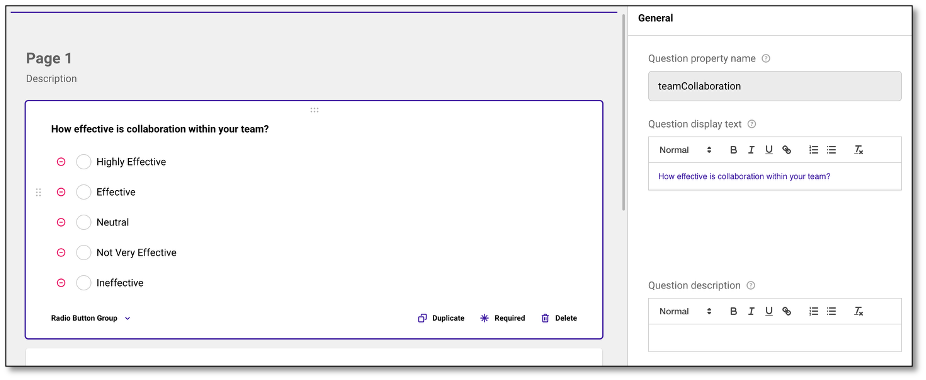 Page Conditions tab for display logic and skip patterns