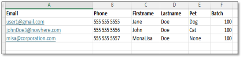 Excel workbook template for creating CSV contact import file