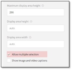 Allow multiple selection checkbox option