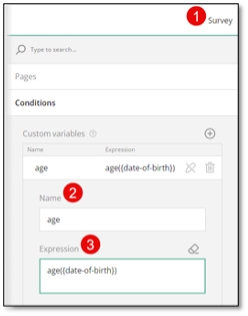Custom variable configuration with age calculation expression
