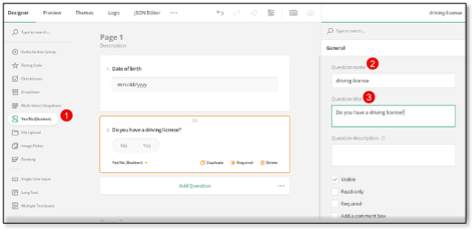 Yes/No Boolean question for driving license inquiry